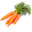 Категория Морковь