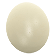 Категория Яйца страусиные