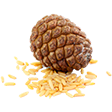 Раздел Кедровый орех