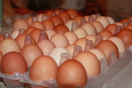 яйца куриные Самара. Фото №1