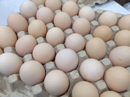 яйца куриные Самара. Фото №1