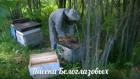 мёд Саранск. Фото №3