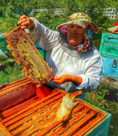мёд Тольятти. Фото №2